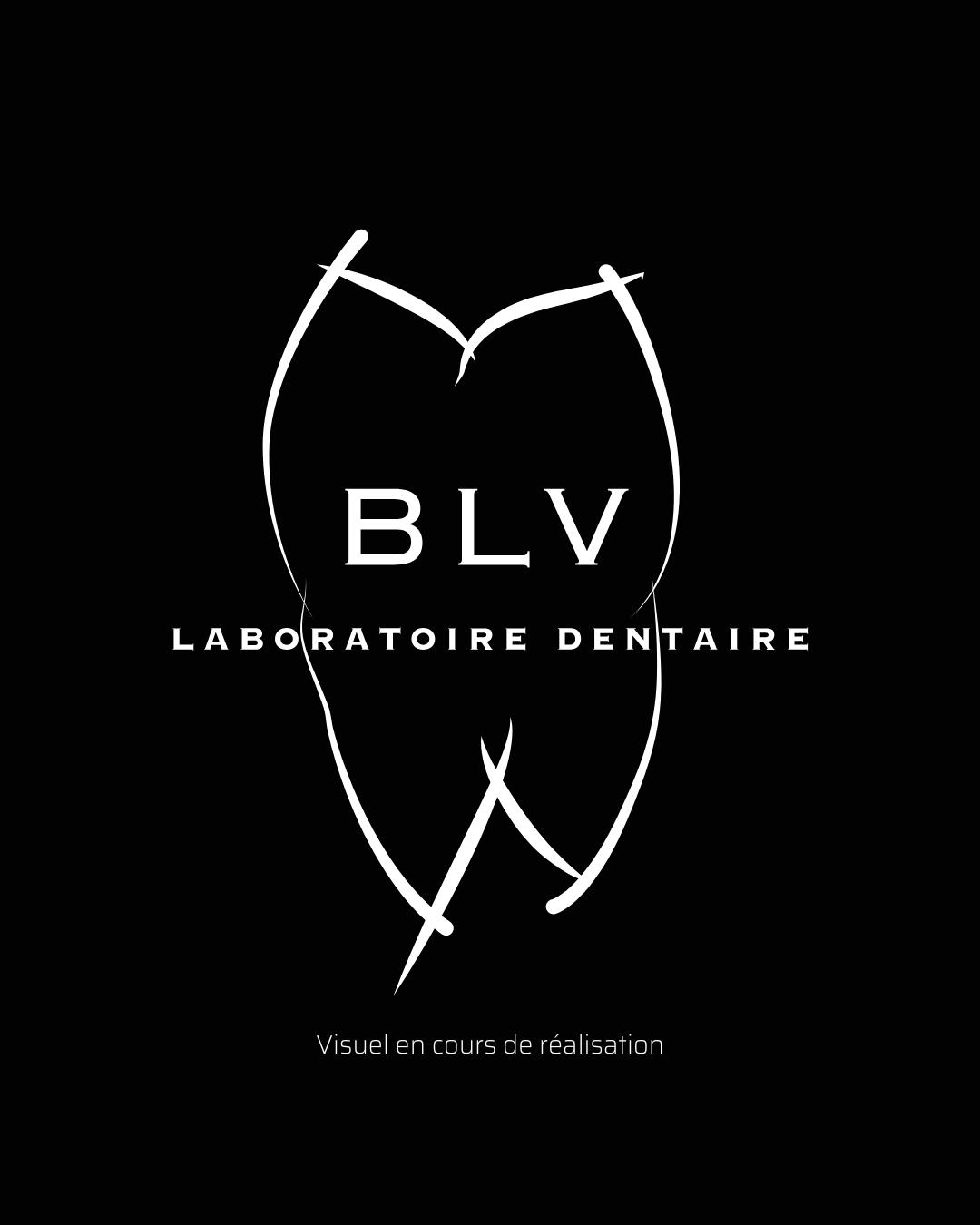 visuel en cours-Laboratoire blv